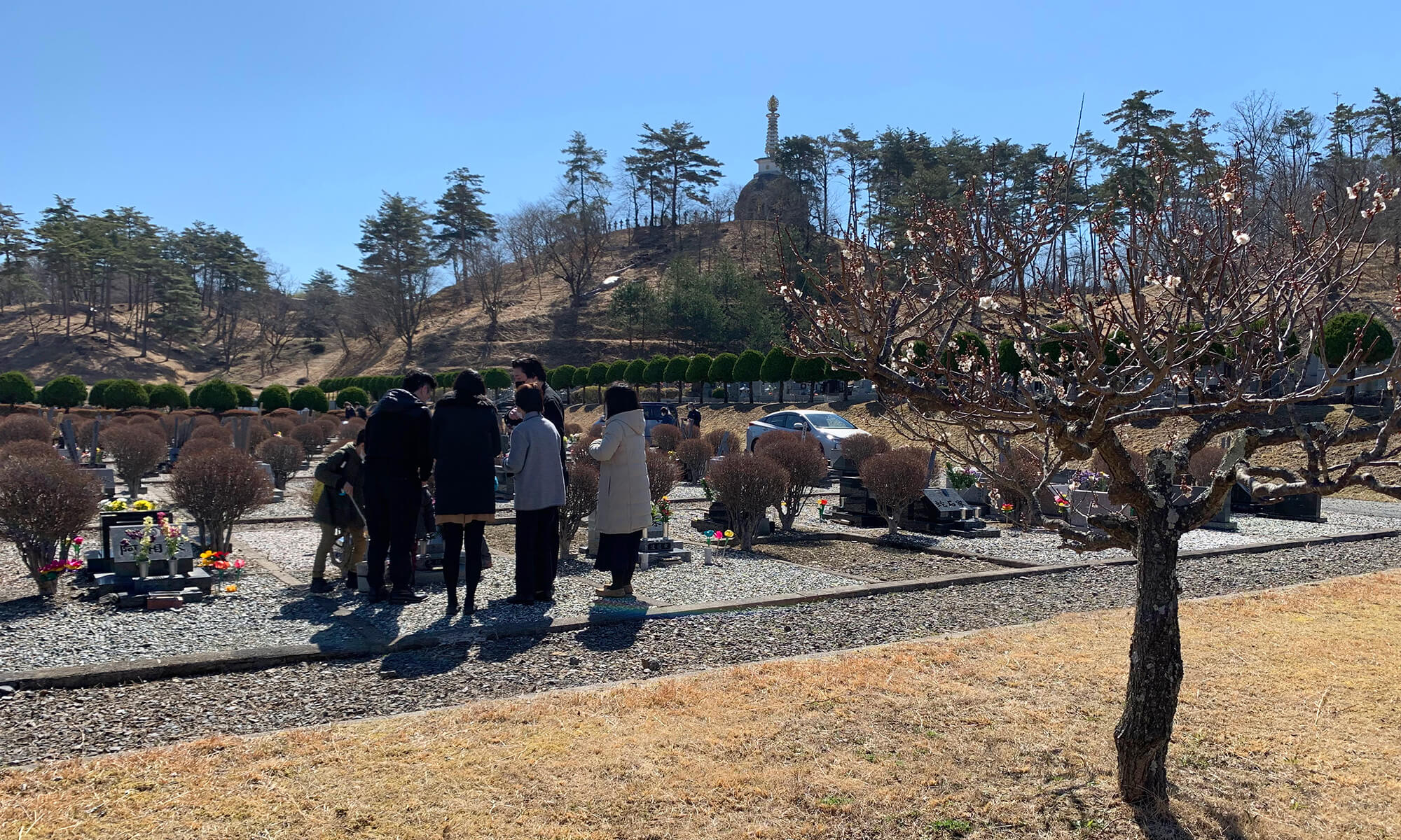 東山霊園