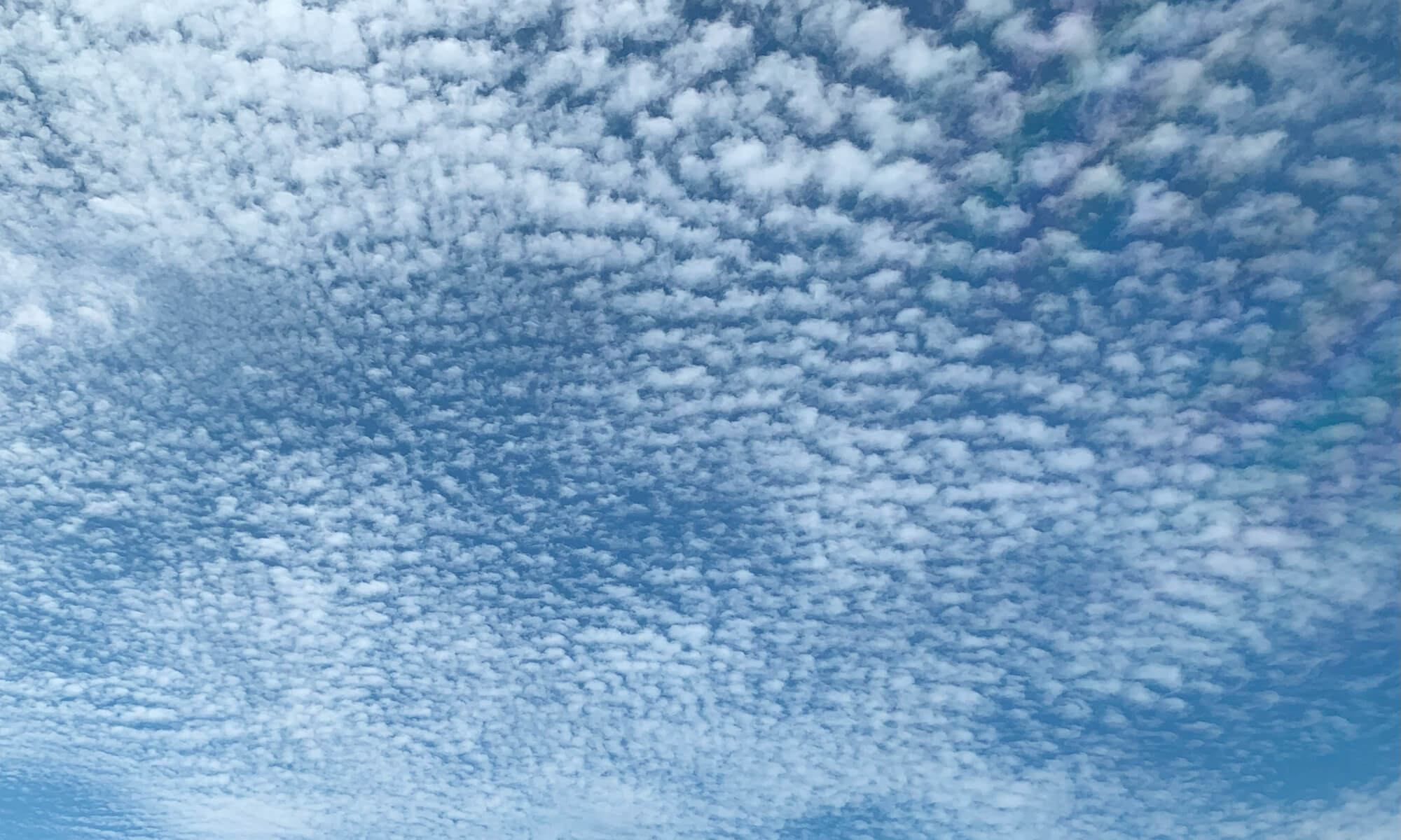 夏の空