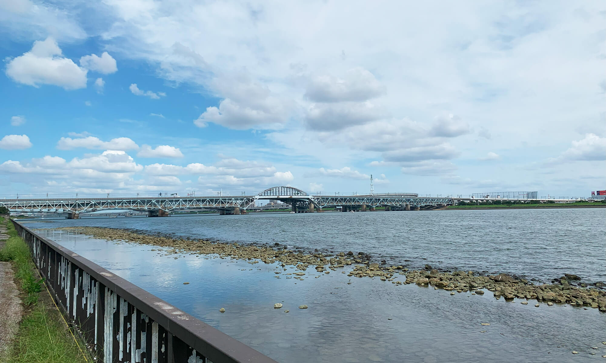 海を感じる新木場緑道公園