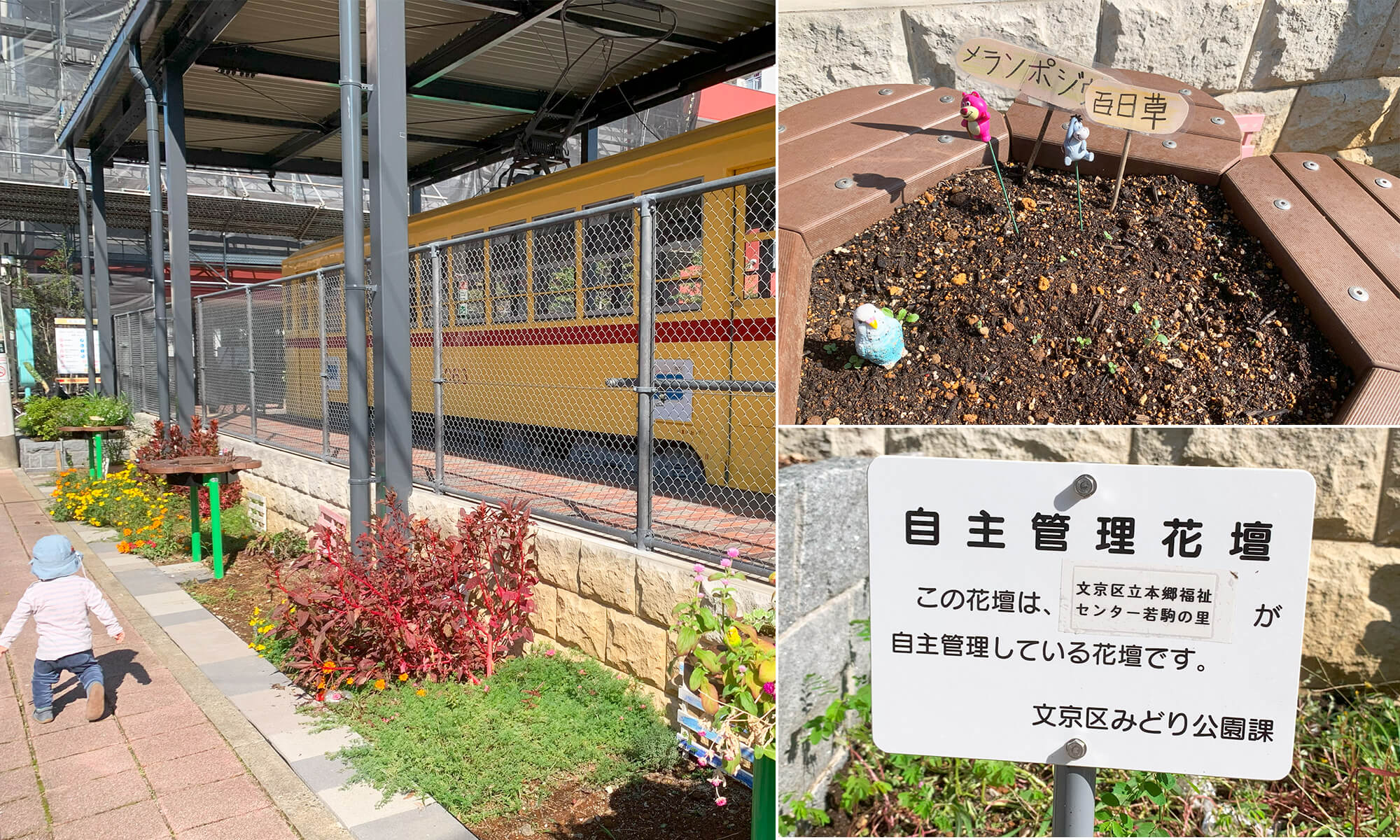 公園の外側の花壇